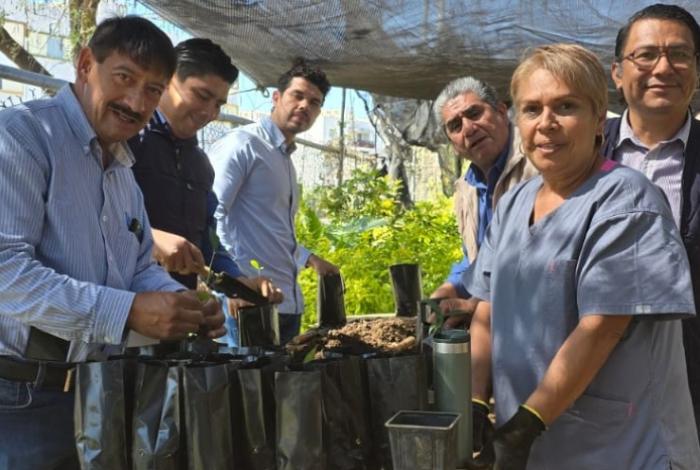 Carlos Soto fortalece campaña permanente de reforestación; Zamora supera los 18 mil árboles plantados