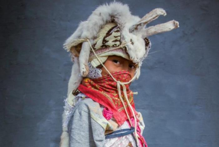 Catálogo de danzas y fiestas de Michoacán: Legados vivos de historia