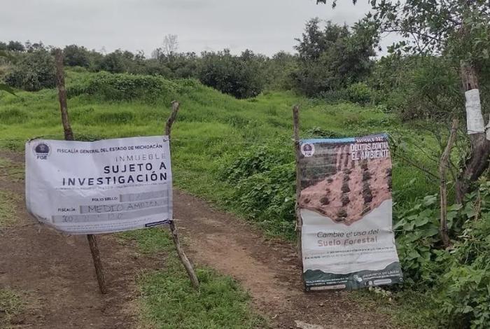 Catea FGE un predio relacionado con plantación ilegal de aguacate en Capula