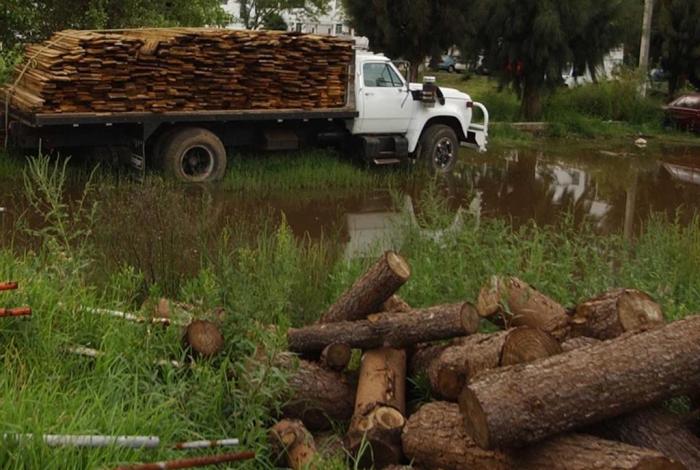 Ceguera Ambiental