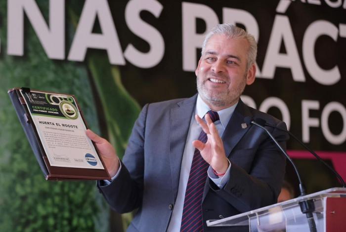 Certificación "ProForest Avocado": El sello satelital que exigen 50 organizaciones en USA