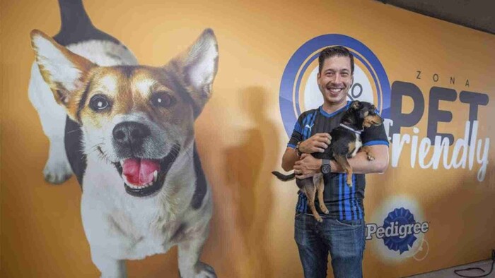 Certifican a mascotas para su ingreso al Estadio Corregidora