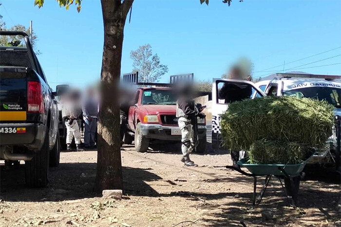 Chocan 2 camionetas en la avenida Cointzio de Morelia; solo hubo daños materiales