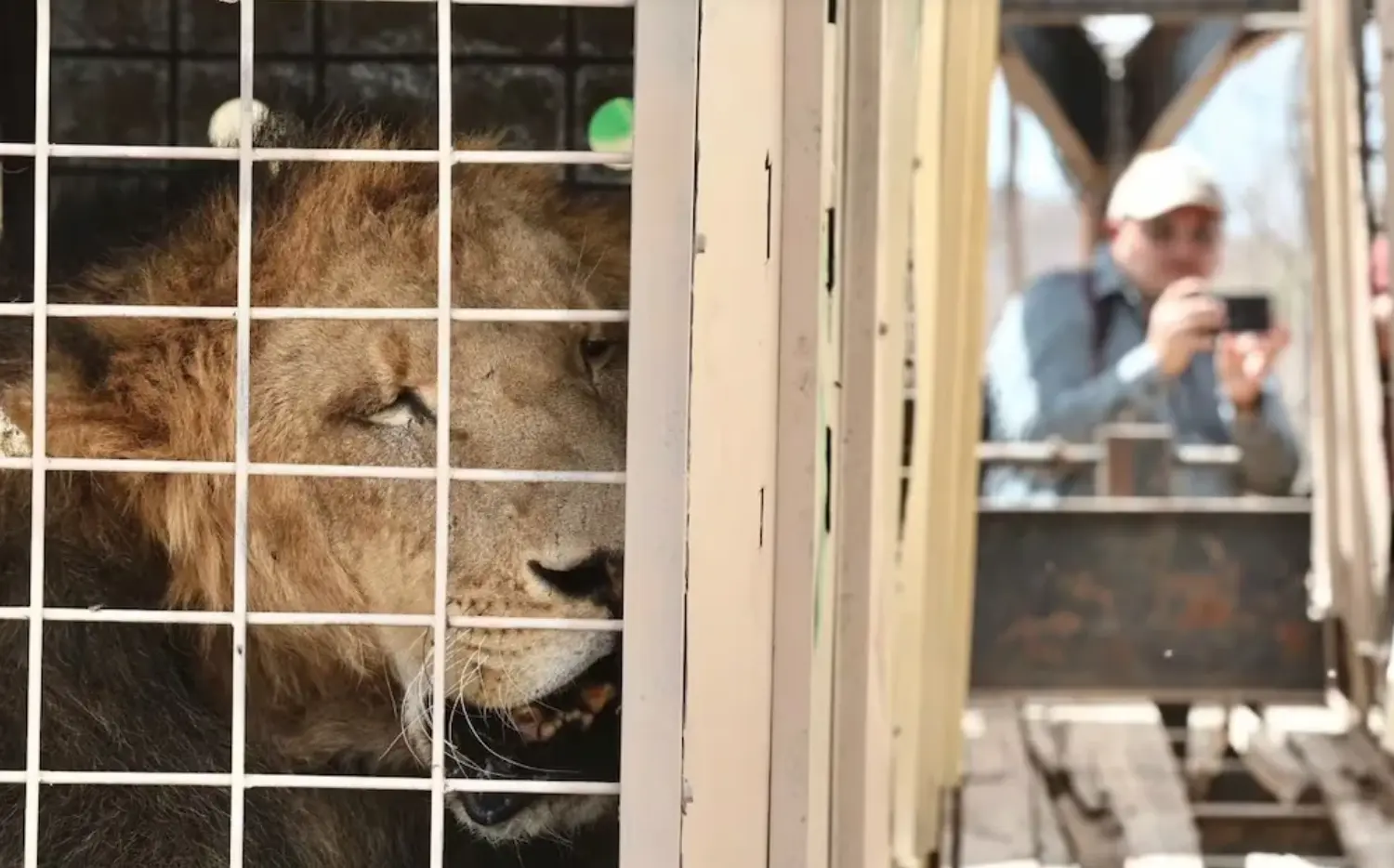 Cierran santuario Ostok por ola de violencia y falta de seguridad