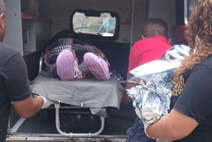 Cigüeña ‘aterriza’ en la vía pública de Zitácuaro; bebé fue recibido por los Bomberos
