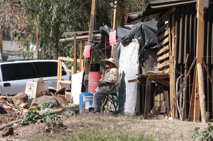 Ciudad Peluche, de la ficción a la realidad