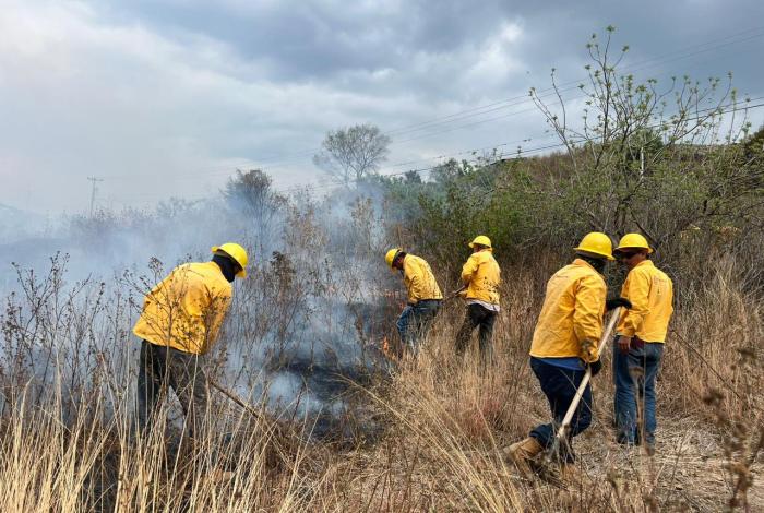 Cofom mantiene control de incendios forestales en Michoacán