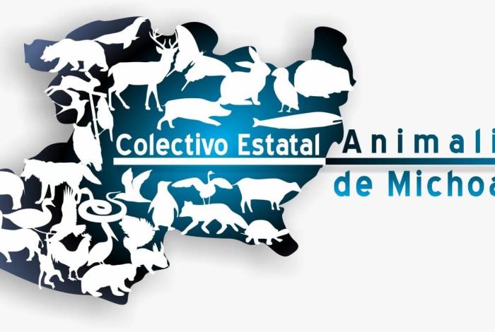 Colectivos animalistas aplauden endurecimiento de sanciones penales contra la crueldad animal
