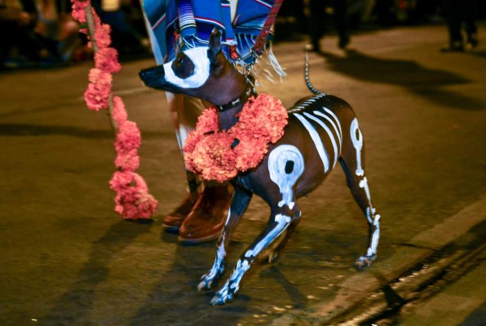 Colegio de Morelia invita a disfrutar entre “Calaveras y Lomitos”