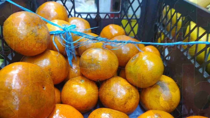 Comerciantes prevén aumento en kilo de mandarina