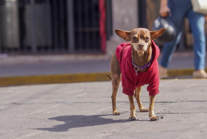 Comienza el fin de semana con amaneceres frescos