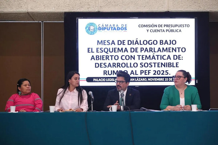 Comisión de Presupuesto analiza PEF 2025 desde perspectiva de desarrollo sostenible