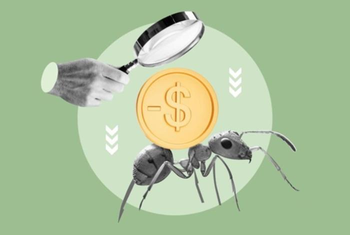 Cómo identificar los gastos hormiga y mejorar tu presupuesto sin complicarte