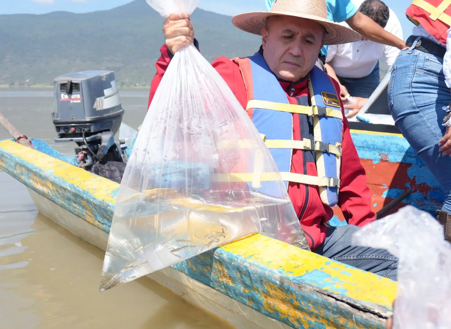 Compesca libera 30 mil crías de pez blanco y acúmara en el lago de Pátzcuaro