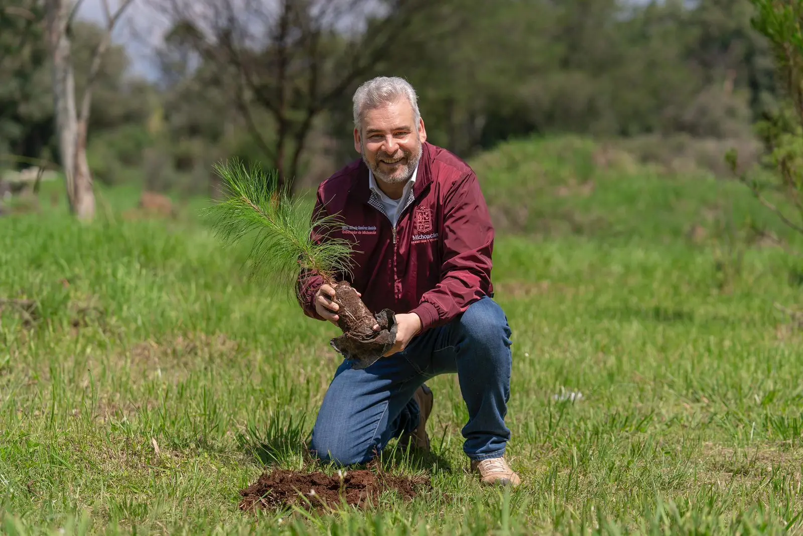 Con 8.2 millones de árboles plantados, reforestación registra 86% de avance: Bedolla