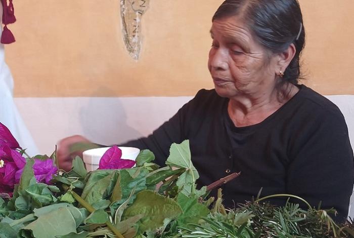 Con talleres al público, buscan que el saber ancestral de la medicina tradicional no desaparezca