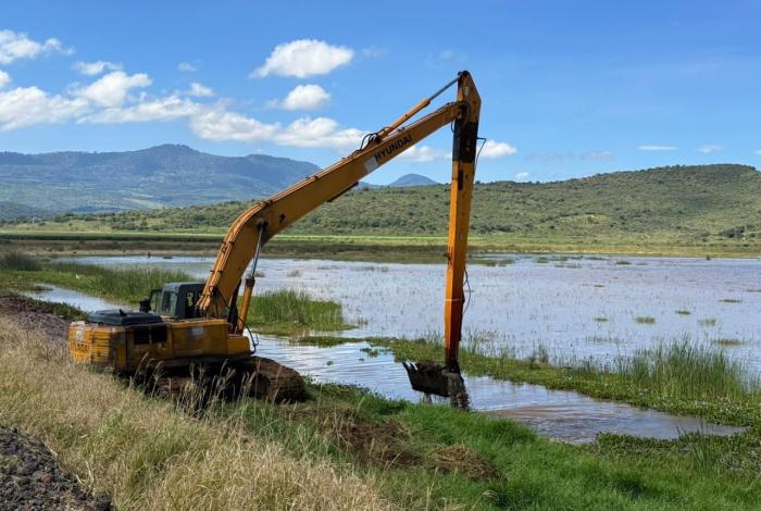 Conagua y Gobierno estatal coordinan limpieza de drenes y canales para prevenir inundaciones