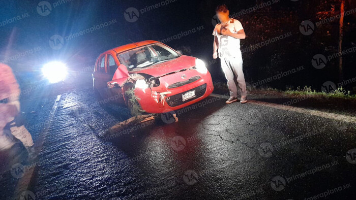 Conductor choca contra árbol caído en la Pátzcuaro-Uruapan