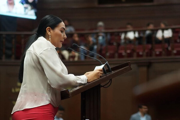 Congreso de Michoacán exige esclarecer hechos en Teuchitlán y justicia a las víctimas a propuesta de Adriana Campos Huirache