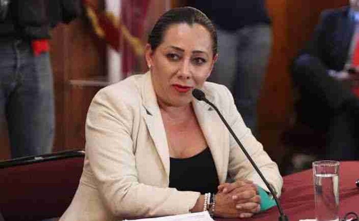 Congreso local debe prohibir el alquiler de vientres en Michoacán: Elvia Higuera