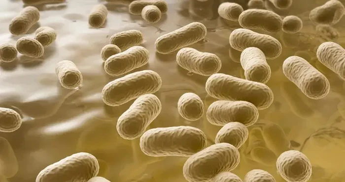 Conoce los síntomas de Klebsiella Oxytoca; Michoacán suma 9 casos y 3 muertes