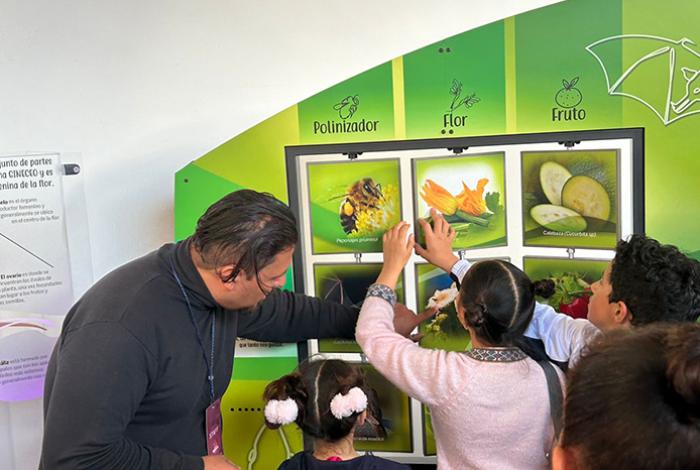 ¿Conoces la importancia de las abejas? Con esta exposición, la Secum y el ICTI nos lo enseñan