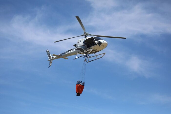 Controlado al 95 % el incendio en el Santuario de la Monarca en Senguio, Michoacán: Cofom