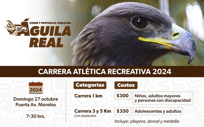 Correrán alrededor de 600 personas por el águila real