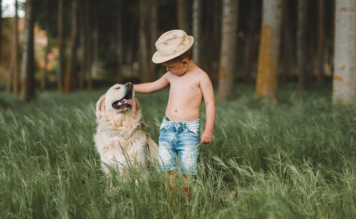 ¿Cuáles son las mejores razas de perro para convivir con niños?