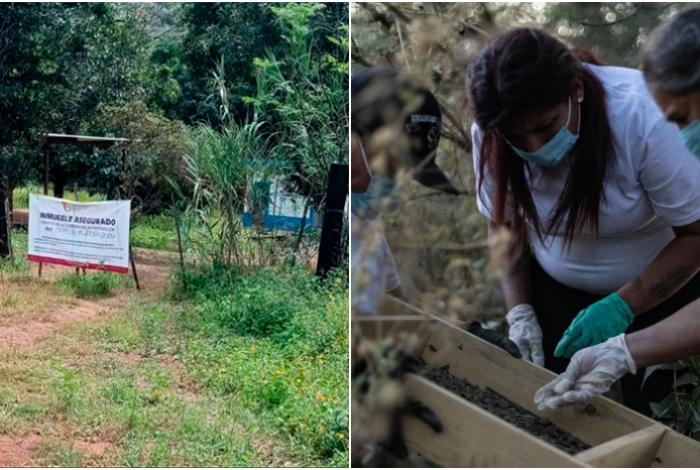 Cuerpos en una fosa, huesos, prendas y un horno artesanal: hallan en Nayarit un presunto centro de exterminio