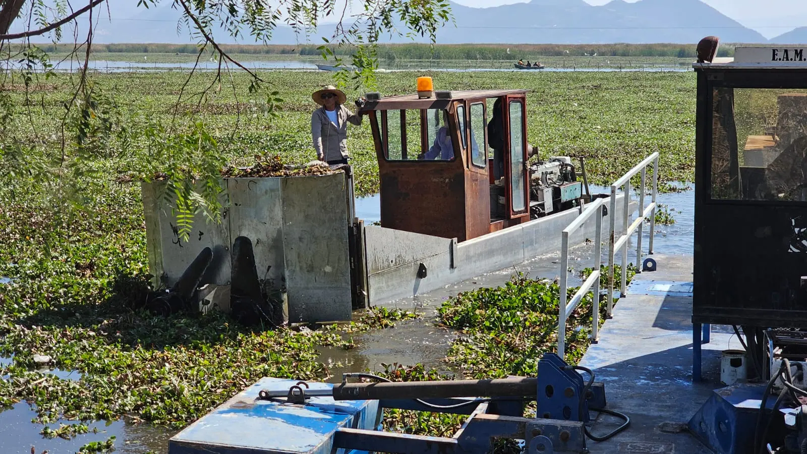 Cuitzeo fortalece zonas de pesca del Lago de Cuitzeo