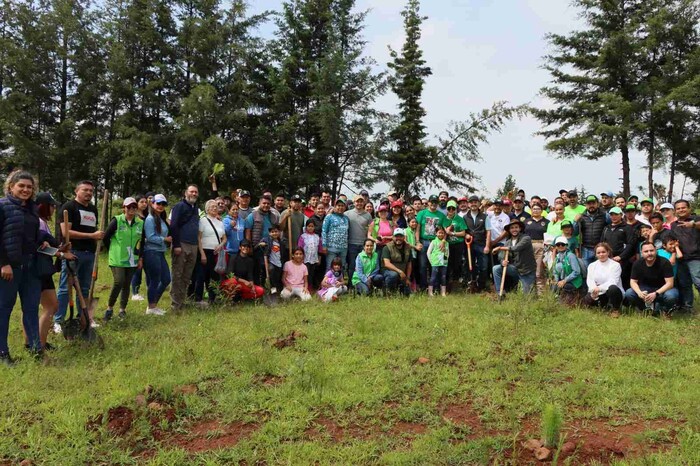 Cumple Partido Verde Michoacán con primera etapa de la reforestación