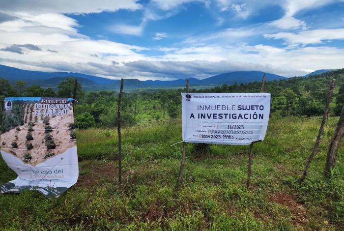 Cumplimenta FGE cateo en predio relacionado con delito ambiental en Ziracuaretiro