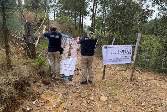 Cumplimenta FGE cateo en predio relacionado con delito ambiental en Morelia; detectan plantación de agave