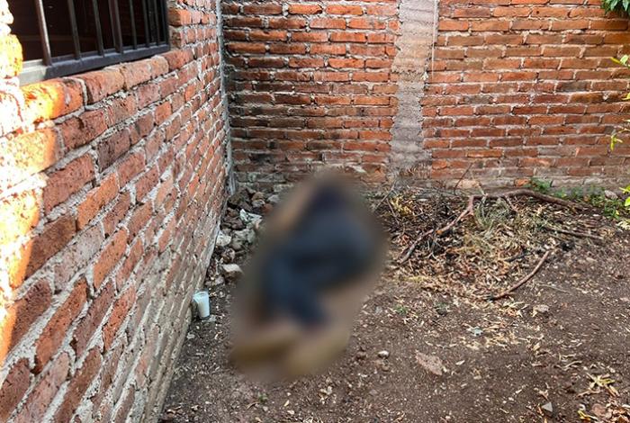 De cinco balazos matan a un hombre, en vivienda de Jacona