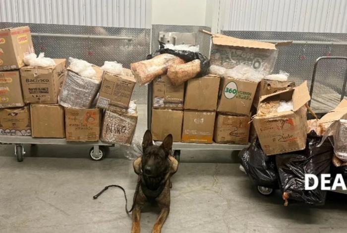 Decomisan 907 kg de metanfetamina del CJNG en EEUU