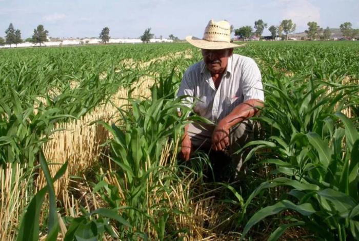 Demandan políticas para frenar crisis agrícola en México