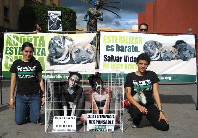 Denuncia AnimaNaturalis México crueldad animal cometida por menores