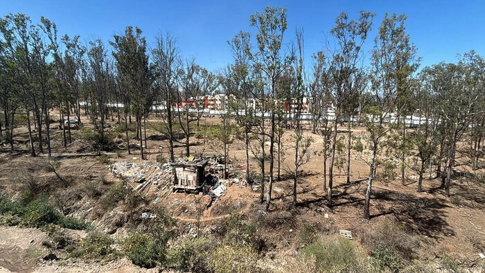 Denuncian invasión de paracaidistas en el Bosque de Eucaliptos, en Morelia