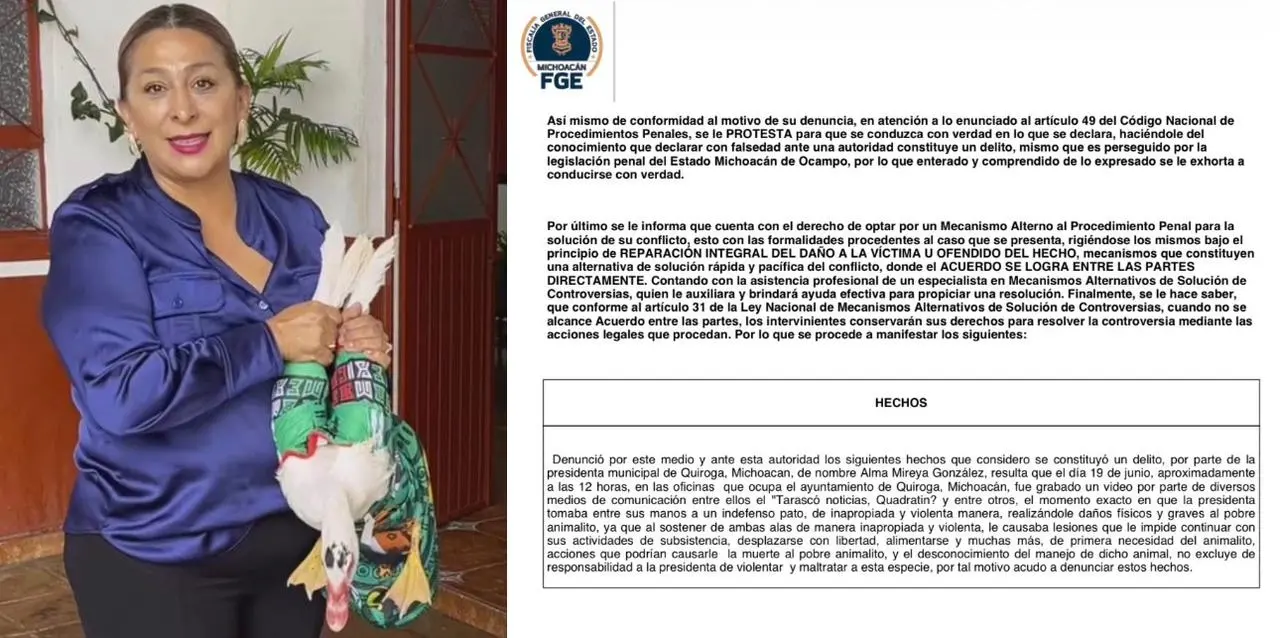 Denuncian penalmente a Alma Mireya por presunto maltrato animal