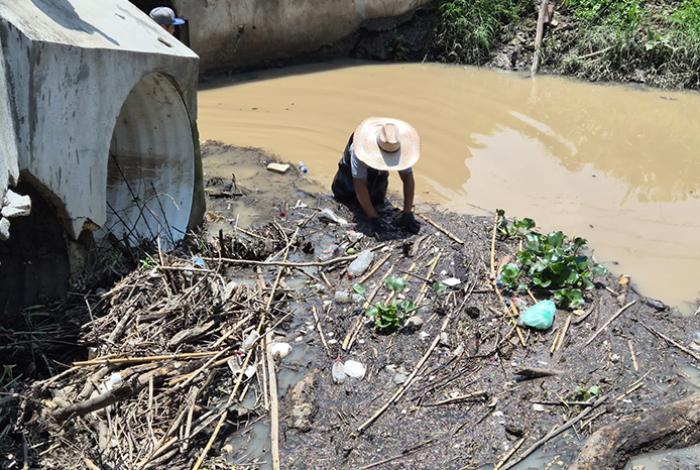Desde animales muertos hasta troncos: retiran más de 20 toneladas de basura en el Dren Barajas, en Morelia
