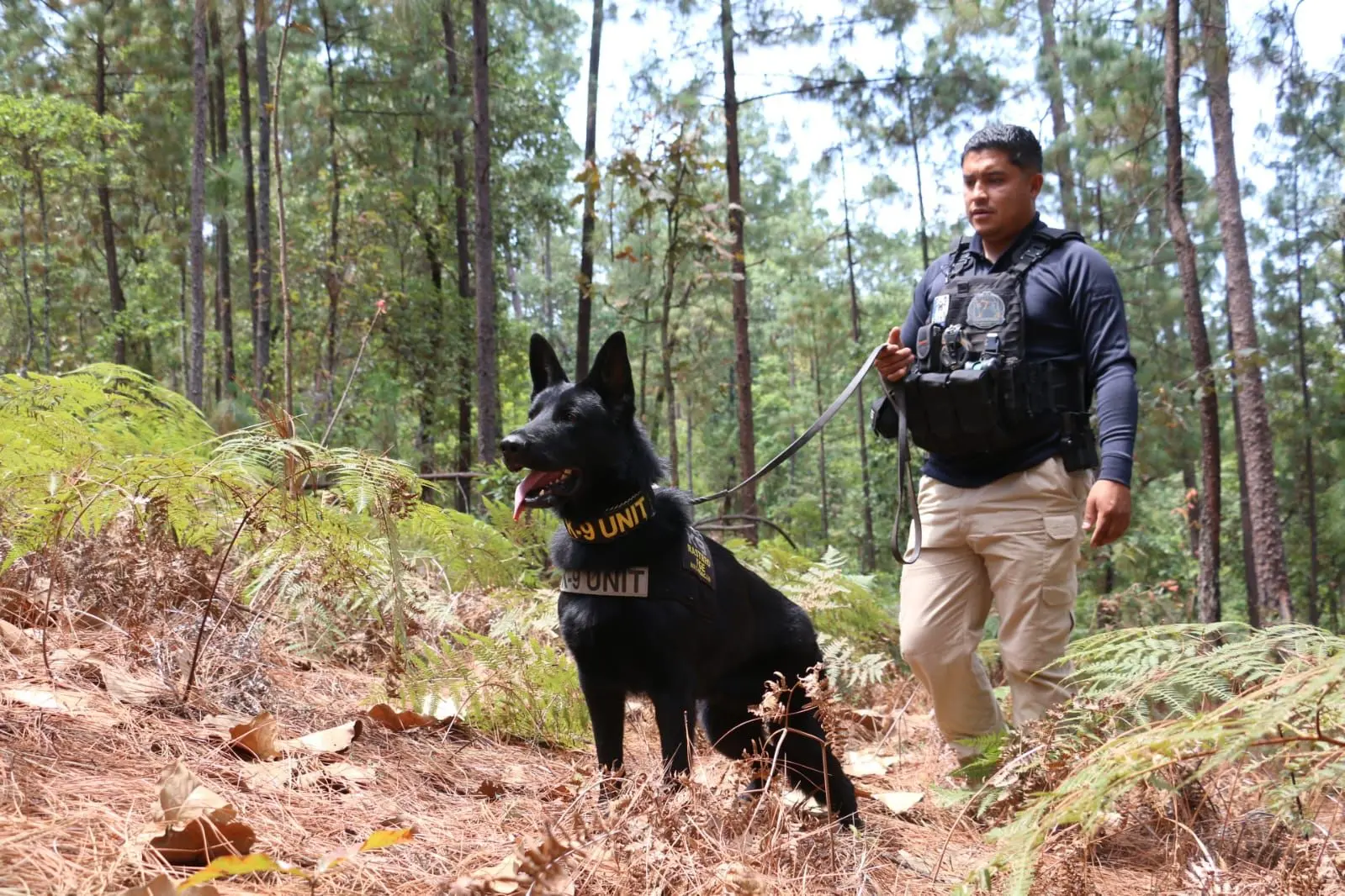 Despliega FGE operativo terrestre y aéreo en Villa Madero en atención a denuncias de ambientalistas
