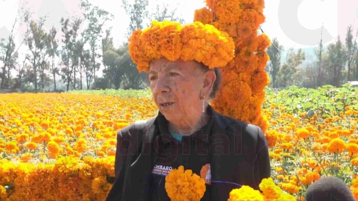 Después del fallecimiento de su esposo, dejó de producir flor de cempasúchil