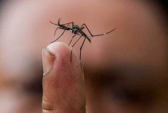 Detectan casos de dengue en el sector privado en Morelia