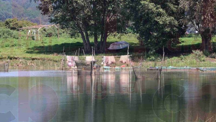 Detergentes y fertilizantes, principales problemáticas del lago de Zirahuen