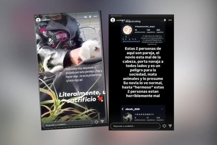 Detienen a menores por muerte de perrito en Nuevo León