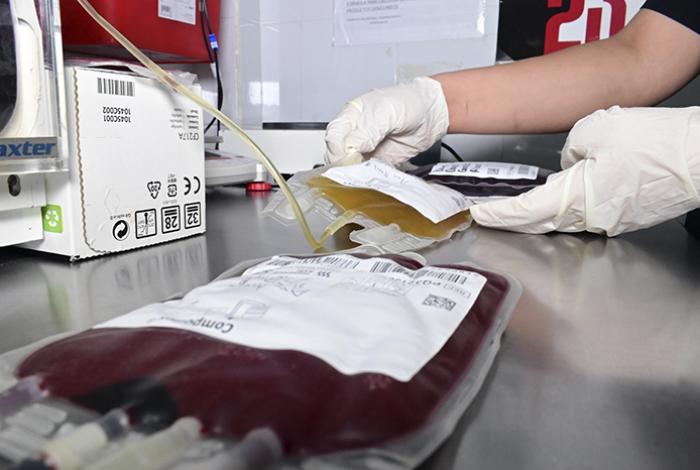 Día Mundial de la Hemofilia: falta de tratamiento puede ocasionar discapacidad