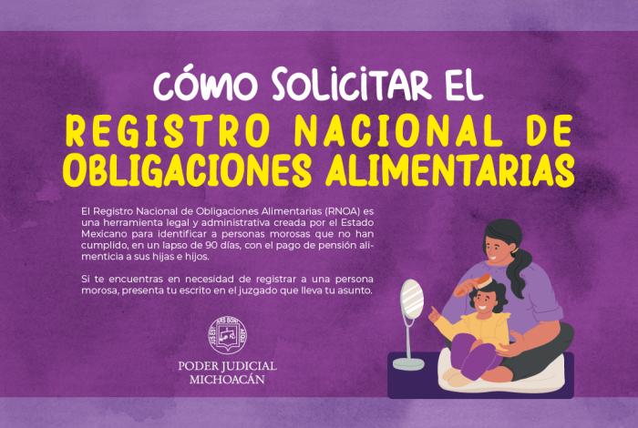 Difunde el Poder Judicial de Michoacán los requisitos para solicitar registro de deudores alimentarios 