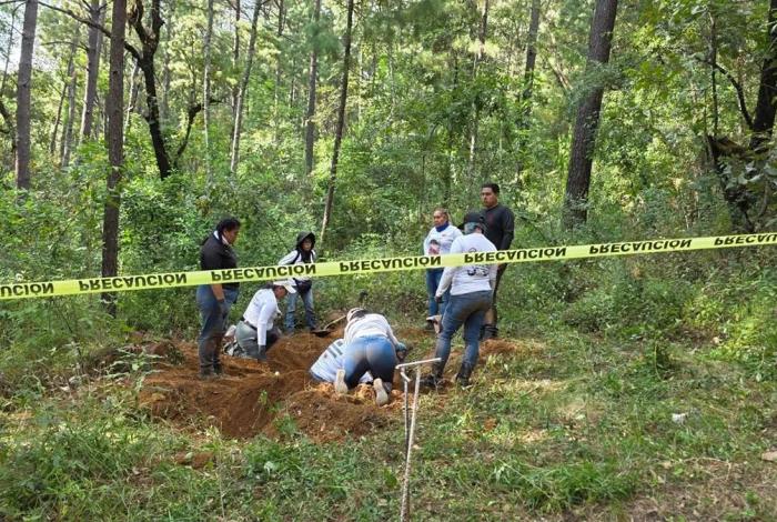 Diputado Tafolla confirma hallazgo de restos humanos en un predio familiar