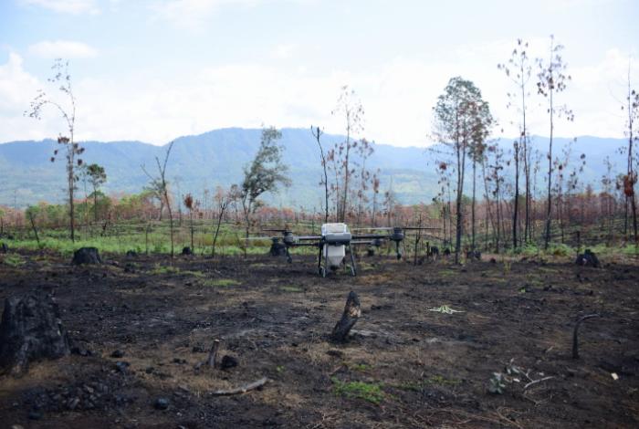 Drones reforestan las zonas más inaccesibles de Michoacán con programa Bio Renace
